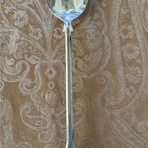Elegant Silver Serving Spoon
